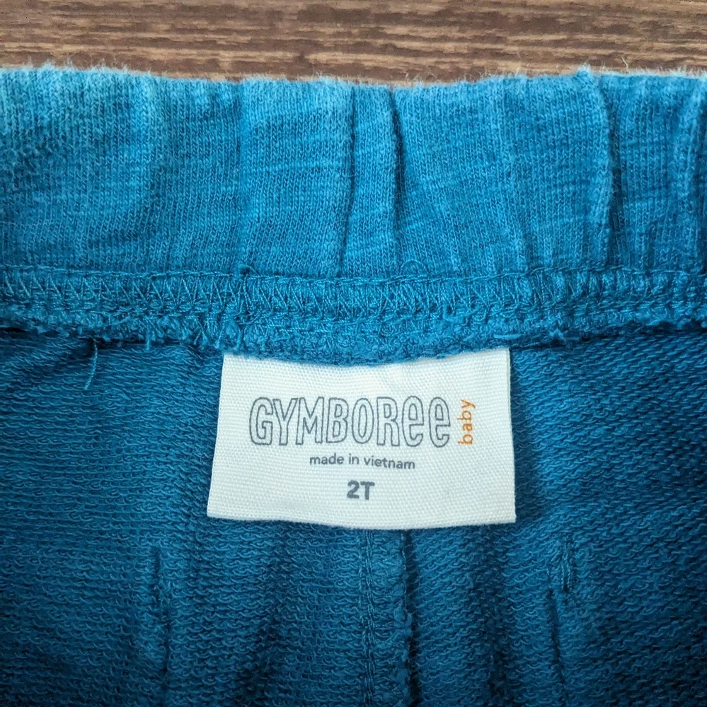 Gymboree Pants